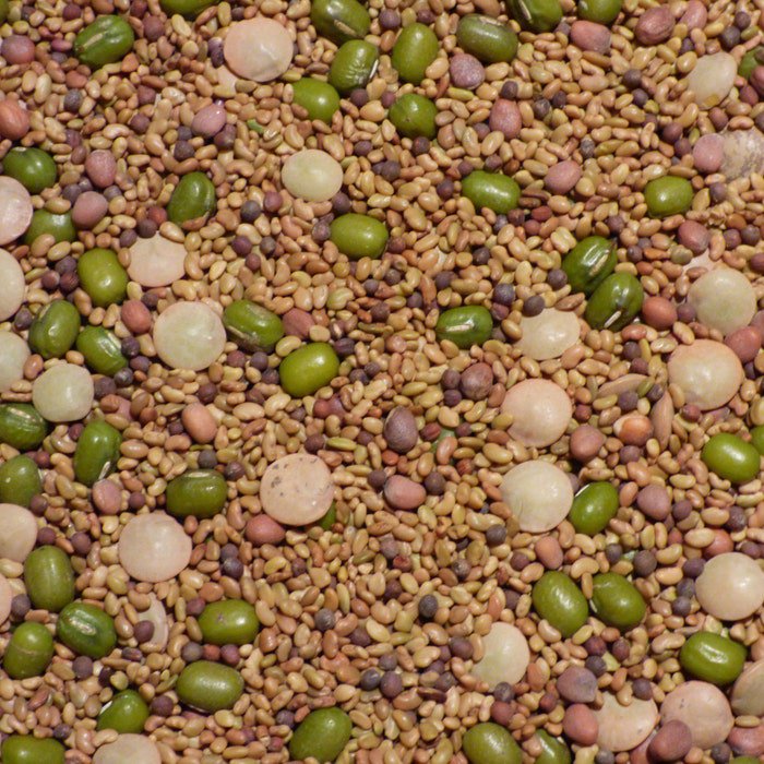 Salad Sprouting 5 Seed Mix C25