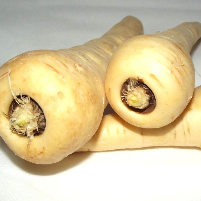 Harris Model Parsnip Seeds Pastinaca Sativa B303