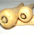 Harris Model Parsnip Seeds Pastinaca Sativa B303
