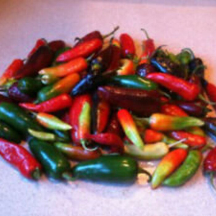 Assorted Hot Pepper Seeds