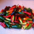 Assorted Hot Pepper Seeds