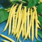 Topnotch Golden Wax Bean Seeds