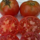 OpalS Homestead Tomato Seeds