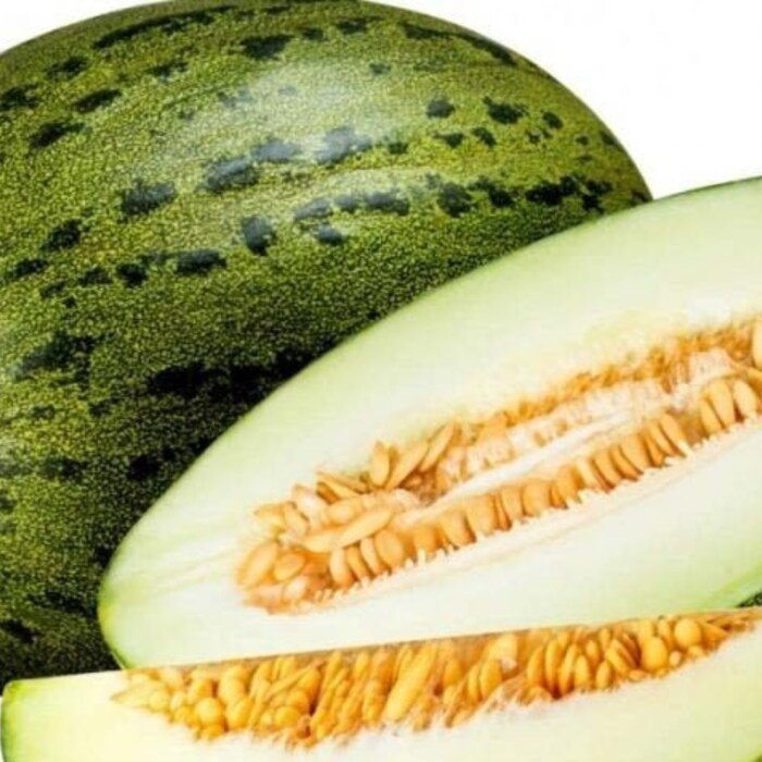 Santa Claus Melon Seeds Easy To Grow