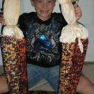 WorldS Largest Indian Corn 20 Seeds