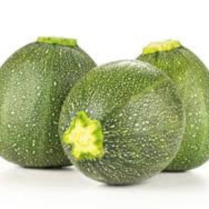 Round Zucchini Summer Squash Seeds