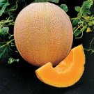 Aphrodite Sweet Cantaloupe Seeds
