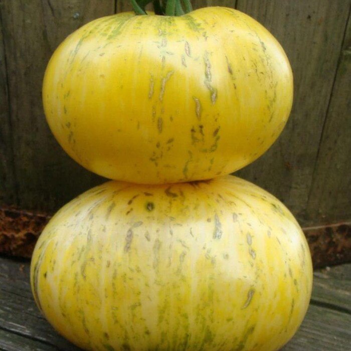Rare Pineapple Pig Tomato Seeds