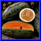 Orangeglo Watermelon Seeds