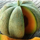 Oka Melon Seeds
