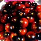Midnight Snack Tomato Seeds Massive Clusters Of Fruit