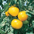 Lemon Boy Tomato Seeds