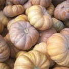 Cheese Pumpkin Seeds