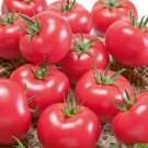 Porter Tomato Seeds Great For Growing In Containers
