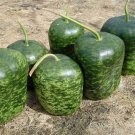 Apple Ground Seeds Perfect For Making Bird House