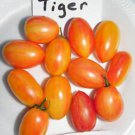 Blush Tiger Tomato Seeds