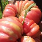 Fluted Pink Tomato Seeds