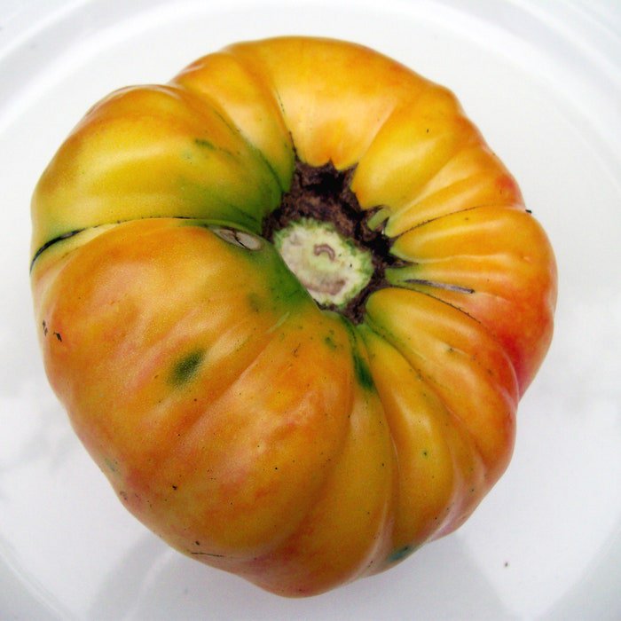 Williams Striped Tomato Seeds