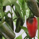 Jalapeno M Pepper Seeds Perfect For Poppers