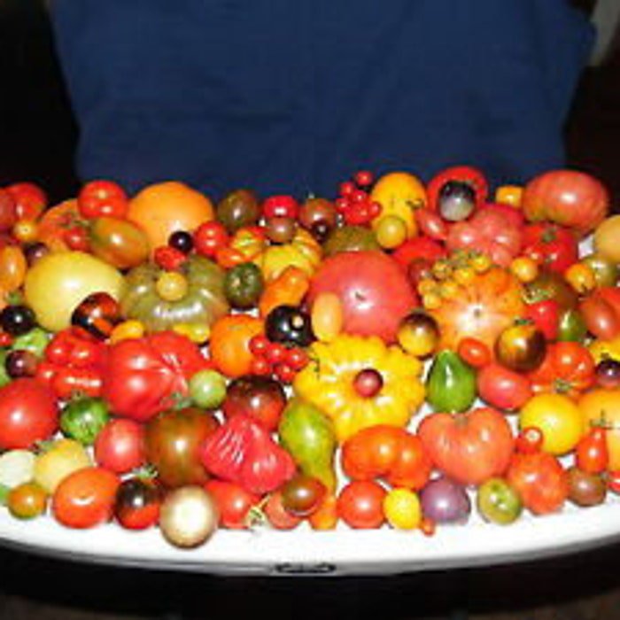 Custom Mix Of Seeds From 200 Different Kind Of Tomato See List