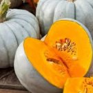Jarrahdale Pumpkin Seeds