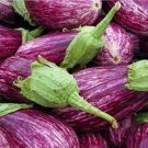 Galaxy Of Stars Eggplant Seeds