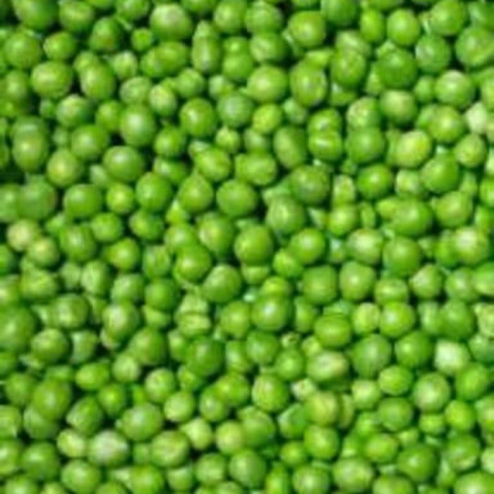 Little Marvel Pea Seeds