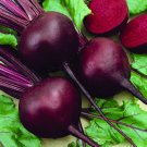 Detriot Dark Red Beet Seeds