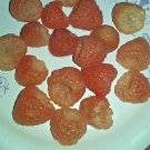 Sunshine Raspberry Bush Seeds Sweet Huge Variegated Fruit