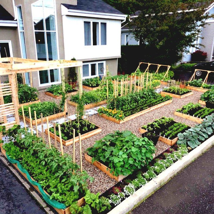 Large Garden Survival Garden Emergency Food Seeds 50 Kinds Usa Seeds