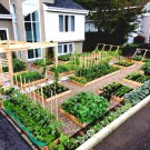 Large Garden Survival Garden Emergency Food Seeds 50 Kinds Usa Seeds