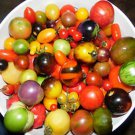 Pack Of 100 Seeds From A Mix Of 50 Different Kind Of Cherry Tomato See List