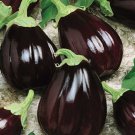 Satin Moon Eggplant Seeds