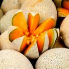 Honey Rock Cantaloupe Seeds