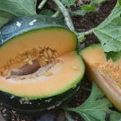 Noir Des Carmes Melon Seeds