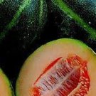 Emerald Gem Melon Seeds