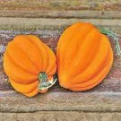 Table Gold Acorn Squash Seeds
