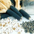 Black Popcorn Seeds Makes Great Tasting Popcorn