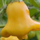 Aji Fantasy Pepper Seeds