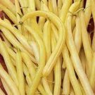 Cherokee Wax Bush Bean Seeds