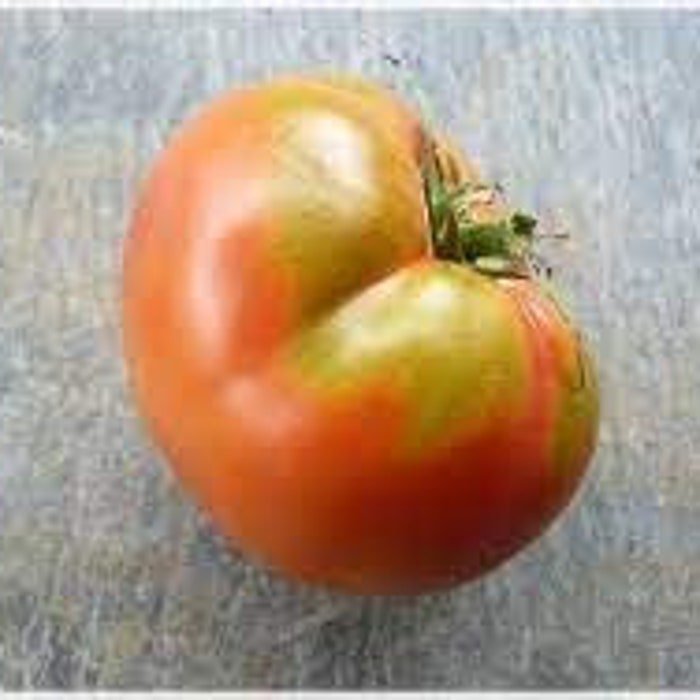 Micado Violetter Tomato Seeds