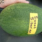 Sweet Siberian Watermelon Seeds