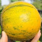 Collective Farm Woman Mini Melon Seeds