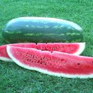 Giant Congo Watermelon Seeds