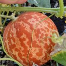 Tigger Melon Seeds