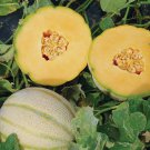 Tuscan Cantaloupe Seeds