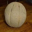 Iroquois Melon Seeds