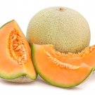Sweet Passion Cantaloupe Seeds