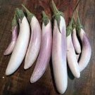 Bride Eggplant Seeds