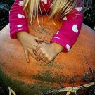 Dark Orange & Dark Green DillS Atlantic Giant Pumpkin Seeds